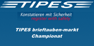 Terminsache – TIPES brieftauben-markt Championat 2024 – jetzt bewerben!!!
